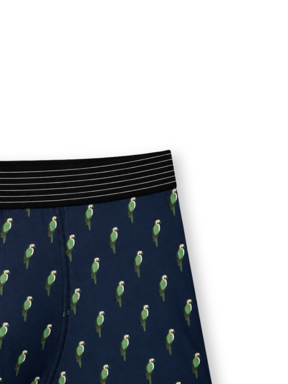 Men Printed Boxershort (Pack of 1) Parrot Print
