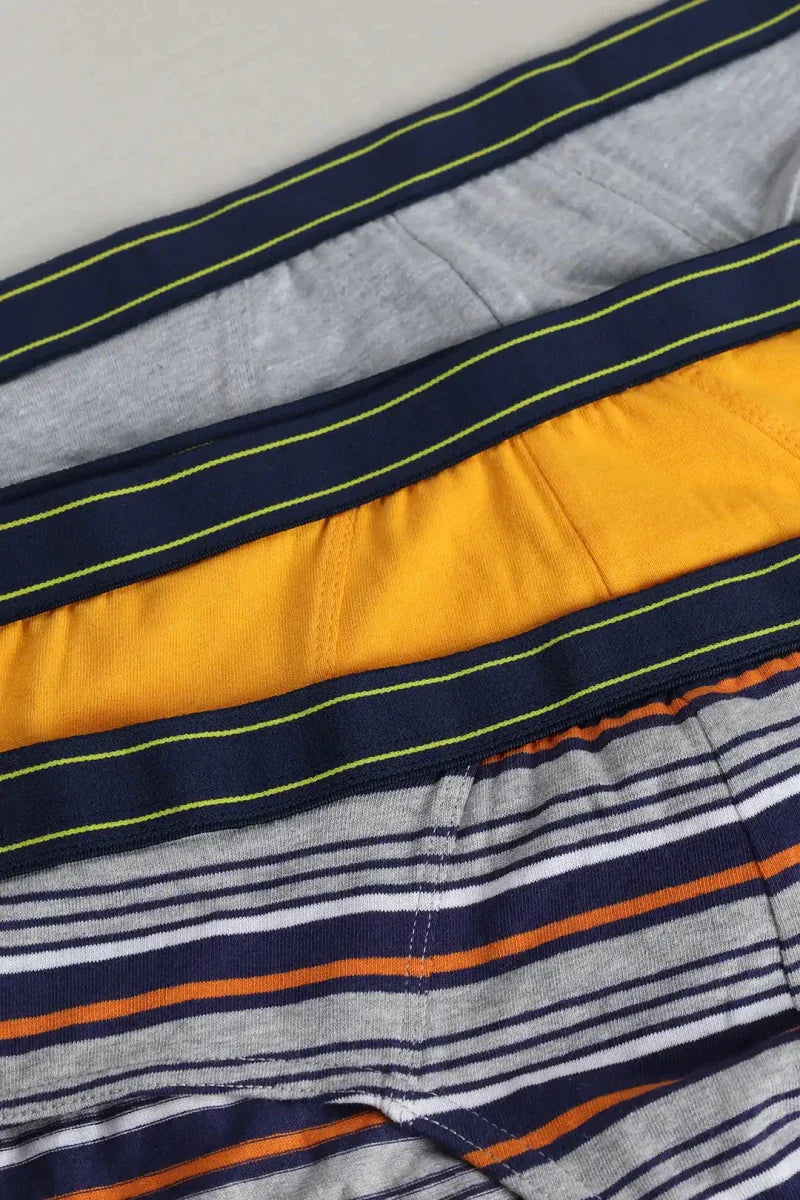 Brief Underwear (Pack of 3) - Orange Stripes